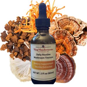 Mushrooms Daily Routine Tincture