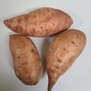 Potato Sweet Mississippi Red Alexander