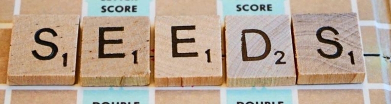 Seeds - Pea First 13 Seed