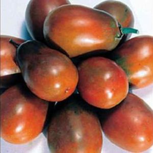 Seeds - Tomato Chocolate Plum Seeds