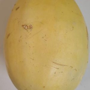 Squash Spaghetti Organic