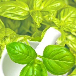 Oil Olive Basil Infused