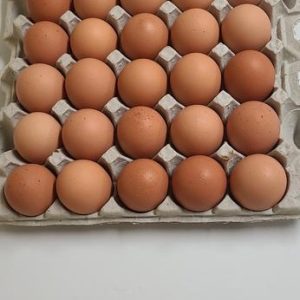 Chicken Eggs Pastured 2.5 Dozen